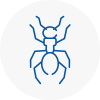 Ant Removals In Haydock