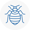 Bed Bug Extermination In Haydock