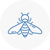 Bee Nest Removal Haydock