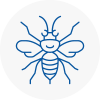 Haydock Hornet Nest Removals