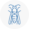 Haydock Wasp Nest Removal